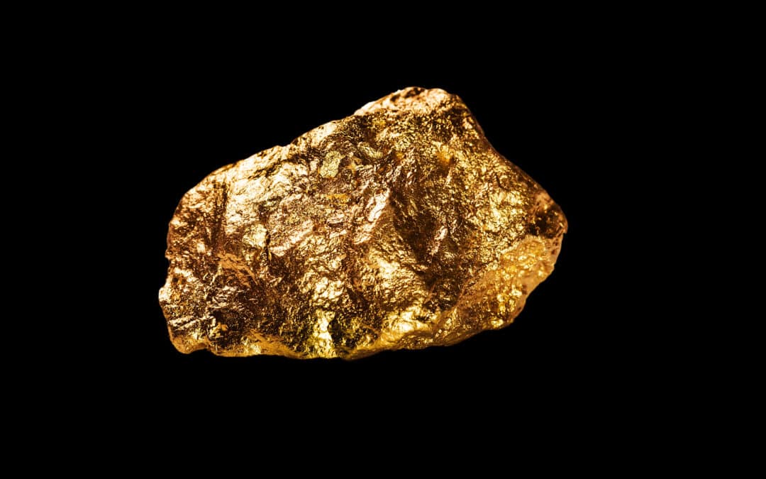 400 Ph.D. Economists vs. One Shiny Rock