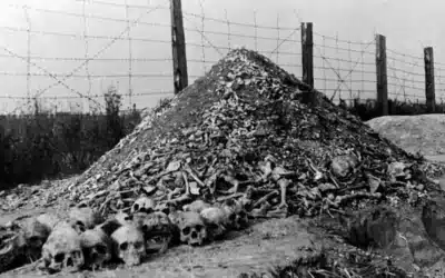 Anti-War Blog – “Never Again”