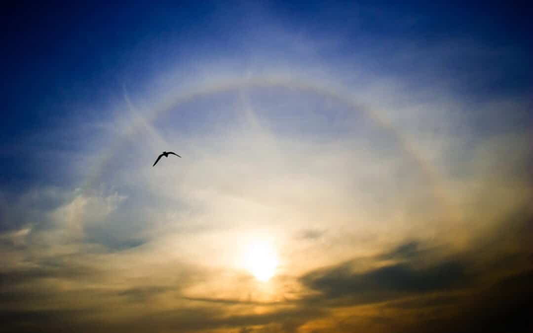 Holding Onto Hope in Trump’s ‘Age of God’