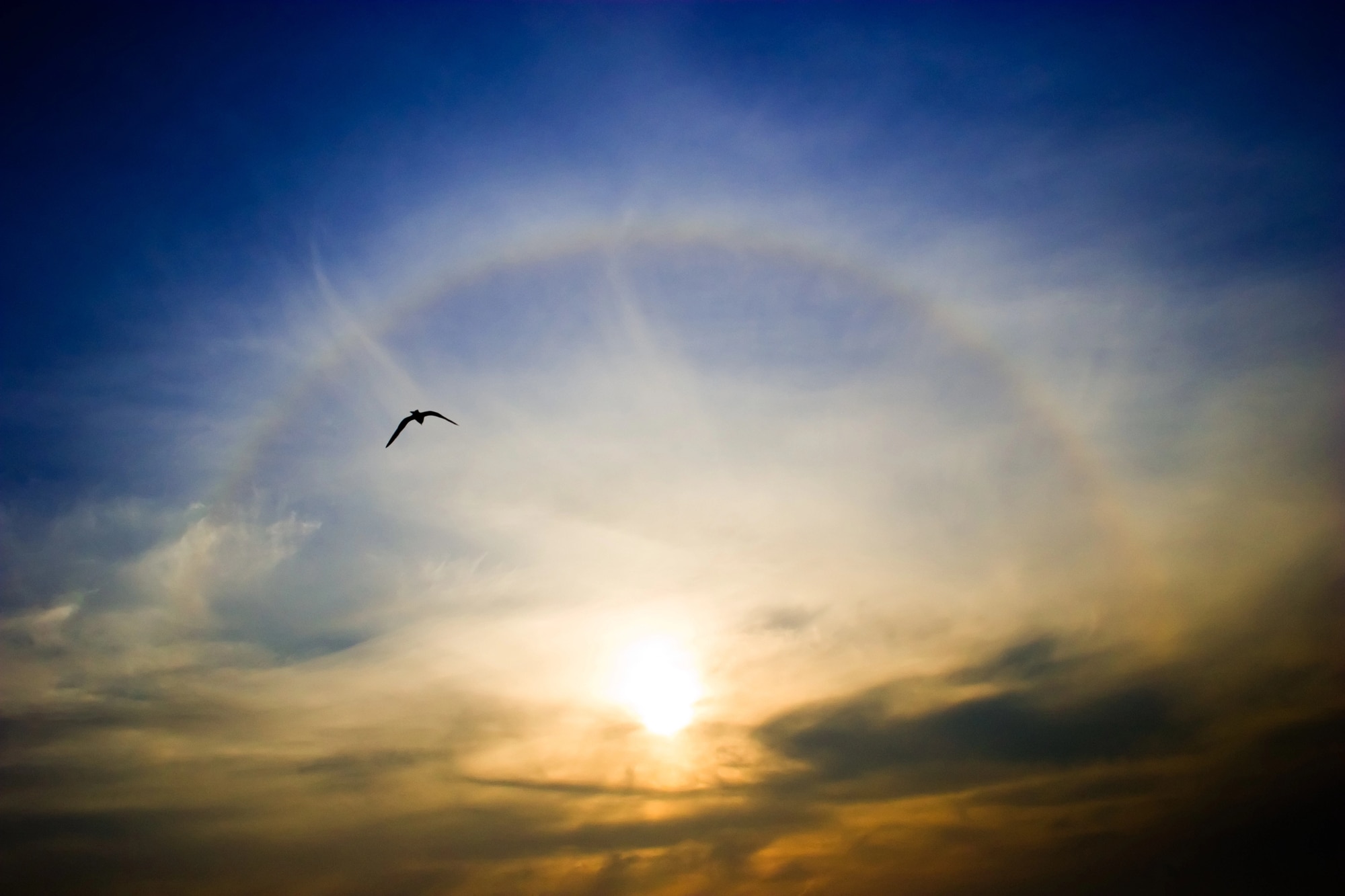 depositphotos 2510008 l