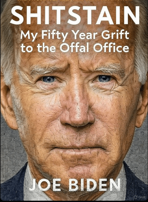bidenbook