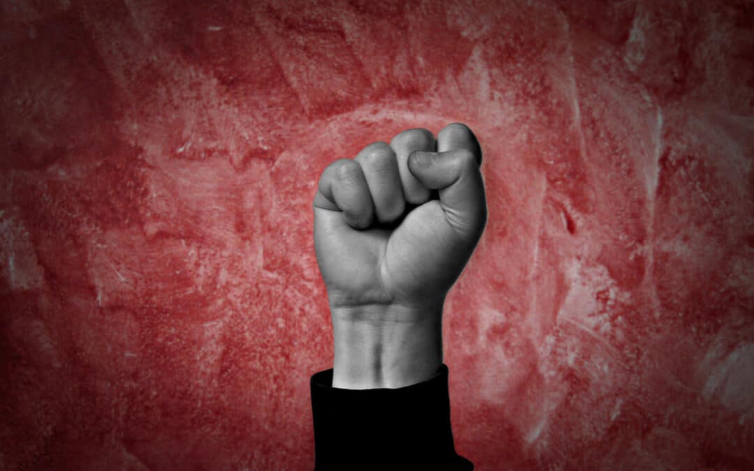 I Will No Longer Oppose Socialism