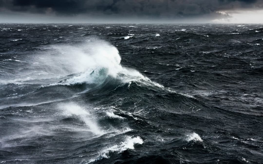 Death Orders on the High Seas: Confronting Executive Violence and Constitutional Limits