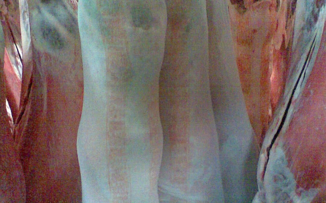 New Years Eve With Mike From Rosewater Meats