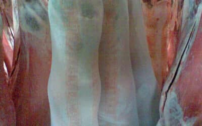 New Years Eve With Mike From Rosewater Meats