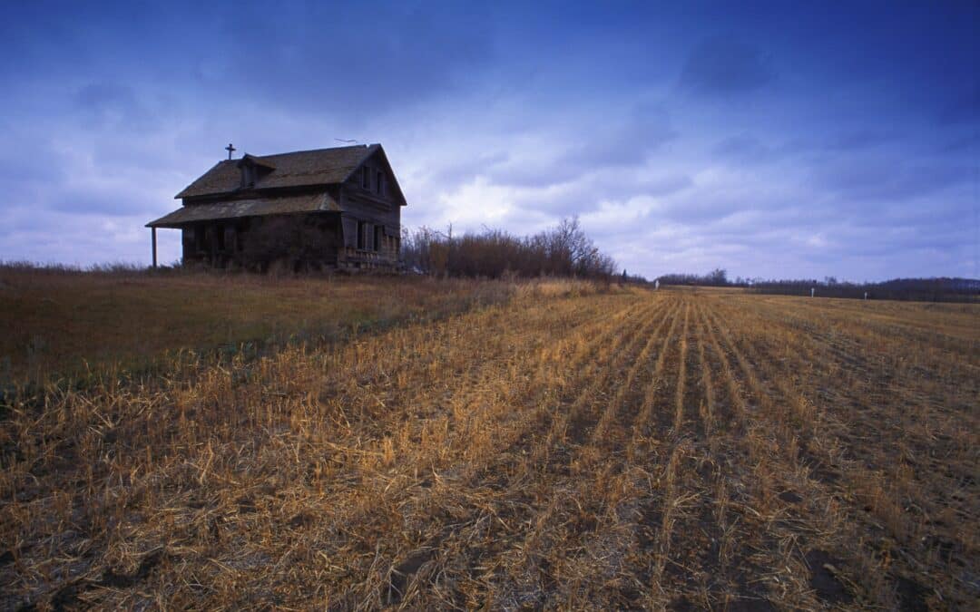 Trump’s Tariffs Made His Farm Bailouts Inevitable