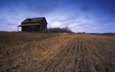 Trump’s Tariffs Made His Farm Bailouts Inevitable