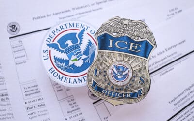 ICE Expansion and the Architecture of a Security State