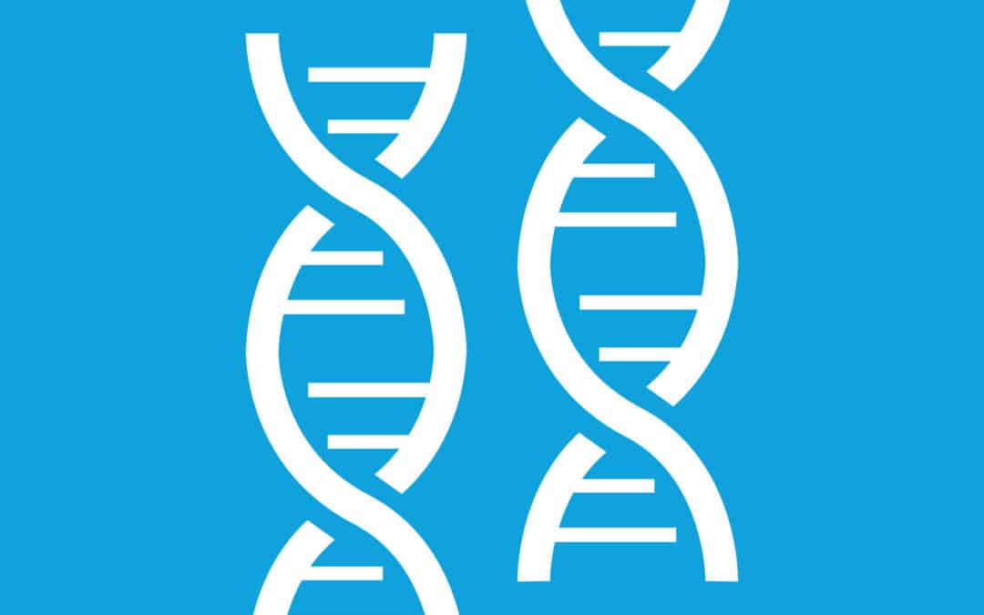 The Welfare State, Evolutionary Game Theory, and Modern Reproductive Tactics