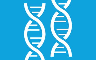 The Welfare State, Evolutionary Game Theory, and Modern Reproductive Tactics