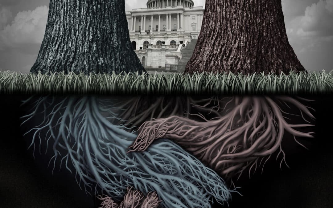 Supremacist Alliance: The Zionist-Hindutva Hijacking of America