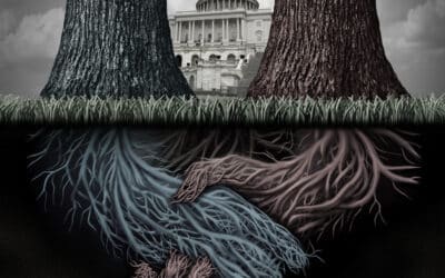 Supremacist Alliance: The Zionist-Hindutva Hijacking of America