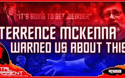 Terrence McKenna Warned Us About This Ep.288