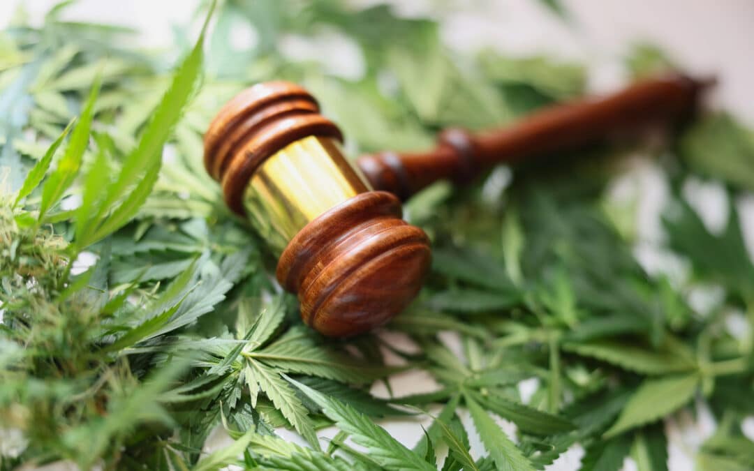 Supreme Court Ends Federal War on Gun-Owning Potheads