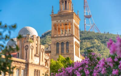 Coming Up Roses: Revolutions and Regime Change in Post-Soviet Georgia