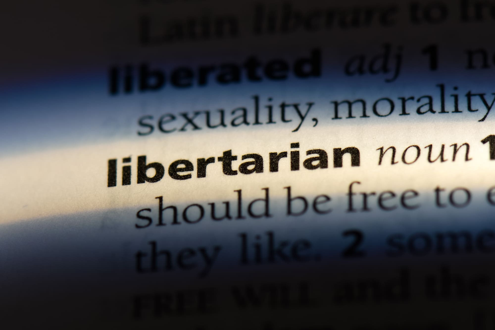 libertarian libertarian