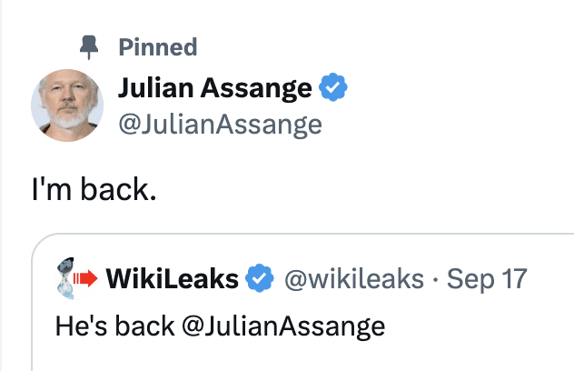 When Wikileaks Exposed the World: Assange Returns to Social Media